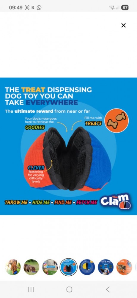 Screenshot20251114094942samsung internet